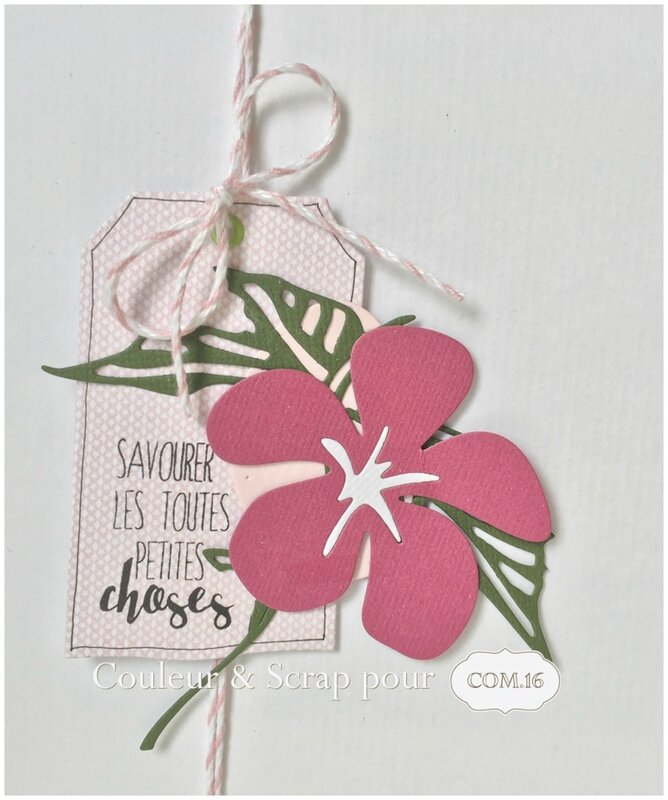 Couleuretscrap_pour_Com