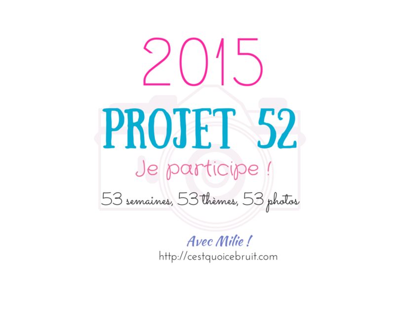 projet52-2015
