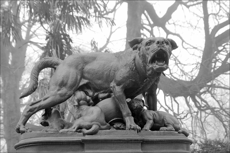 Toulouse statue chienne brume 221213