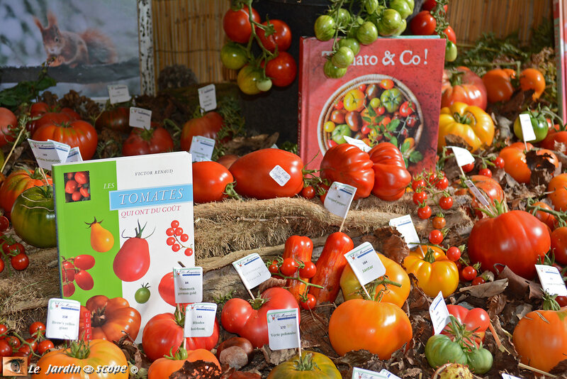 PAT_8715-Tomatophiles