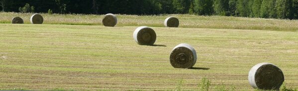 le temps des foins