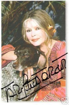 bb_autograph-animaux-chien-01