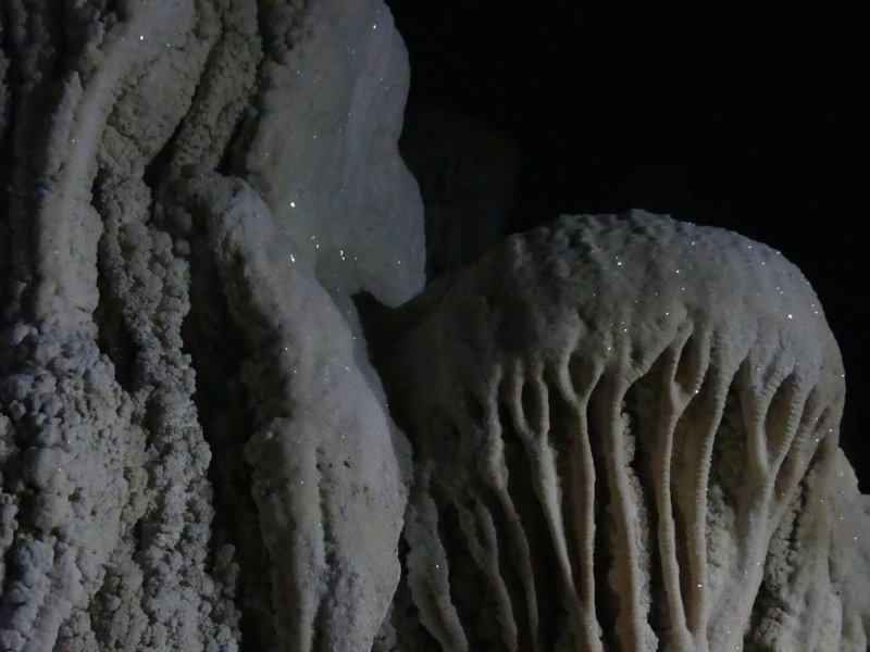 P1140217