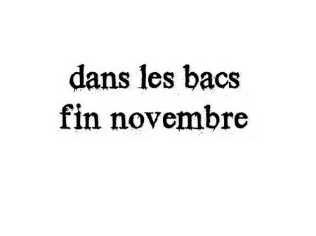 dans_les_bacs