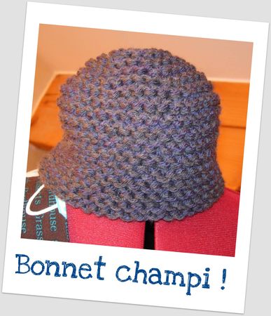 Bonnet_champi
