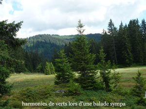 harmonies_de_verts_en_balade