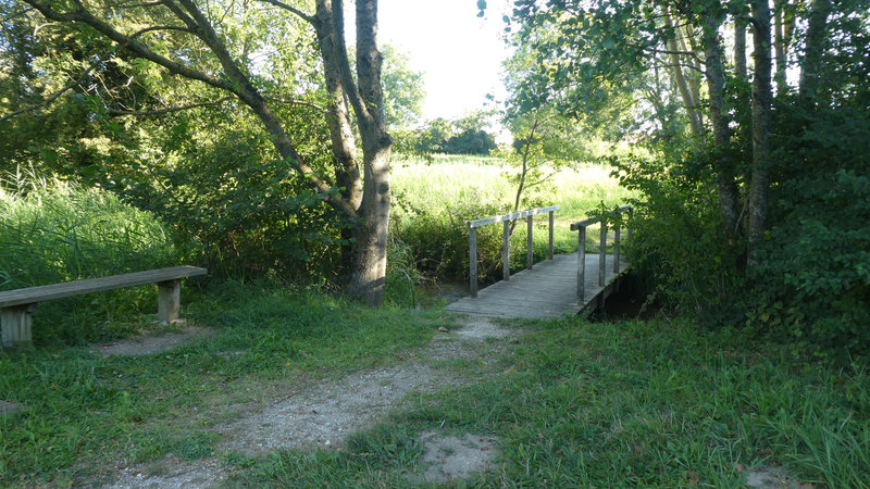 09 août 2022 sentier Moulin du Berceau (10)