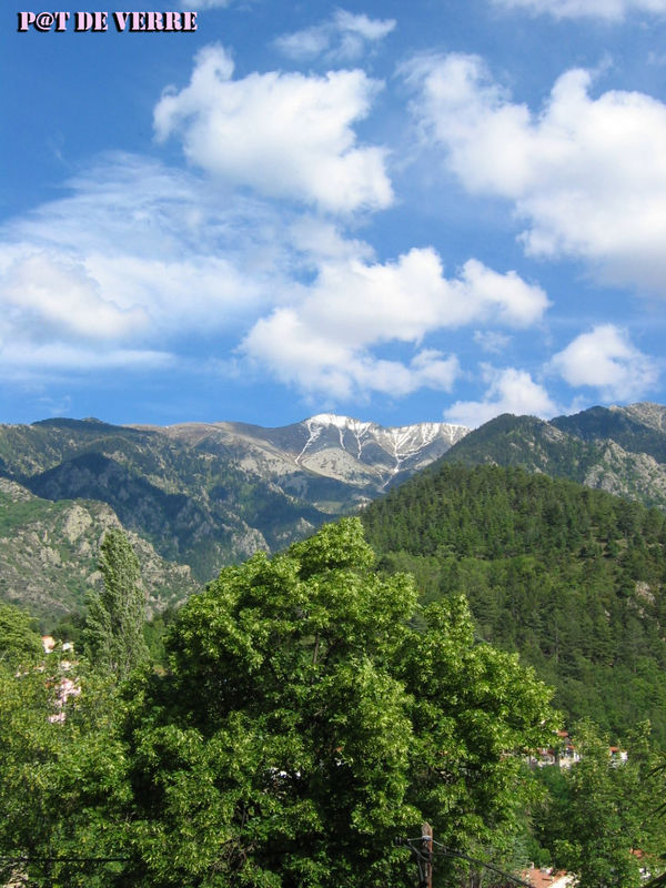 Le_Canigou_vu_de_Vernet_les_Bains_copie