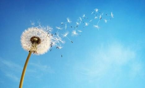 libre