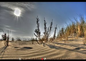 photo de dune ( plage de Beauduc)