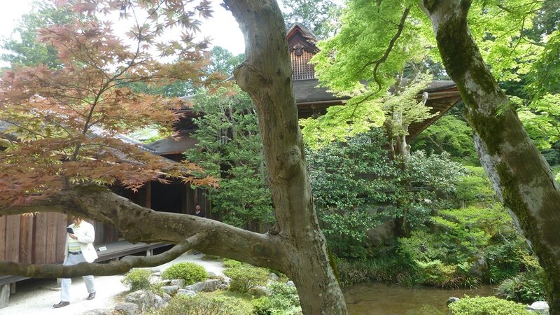 Japon 2016-4913 Kyoto Villa Shugaku-in