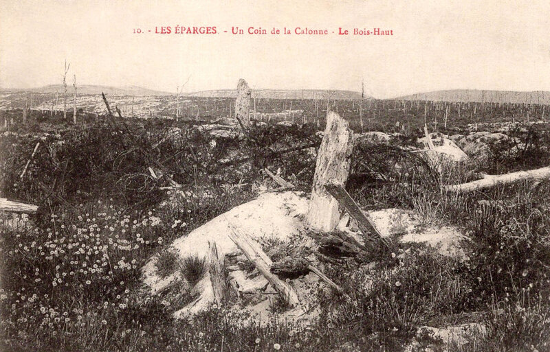 les Éparges, le Bois-Haut