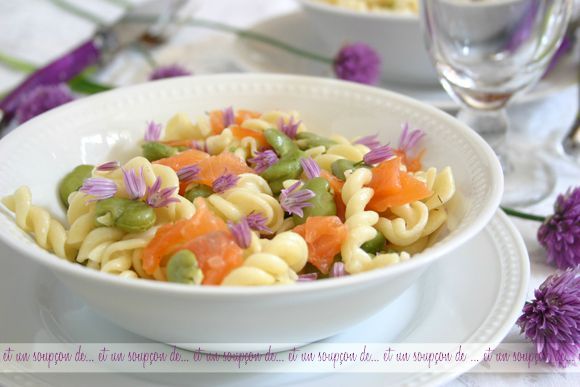 Salade de fèves et torti fleurs de ciboulettes