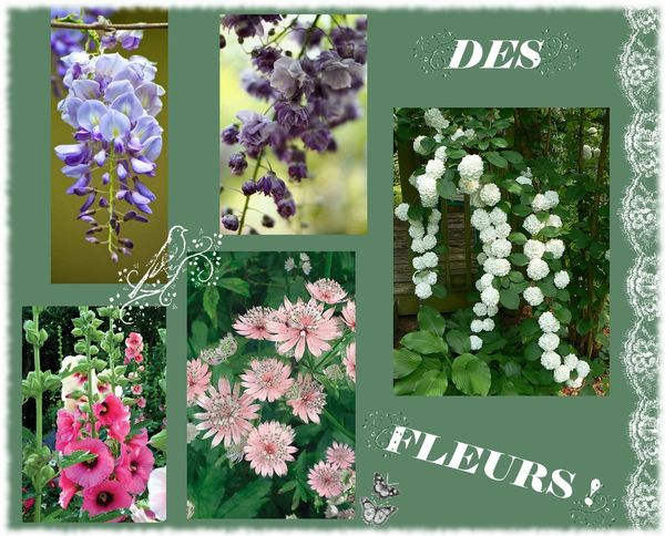 DES FLEURS