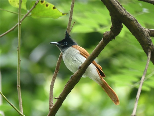P1260773
