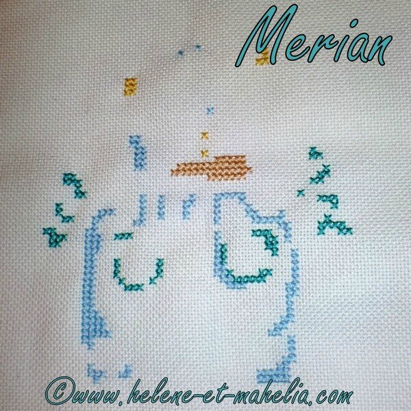 merian ES_saldec14_2