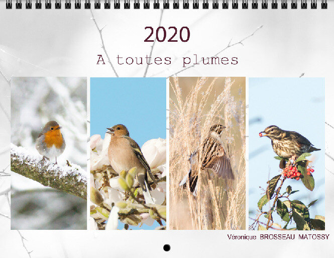 2020 couverture3