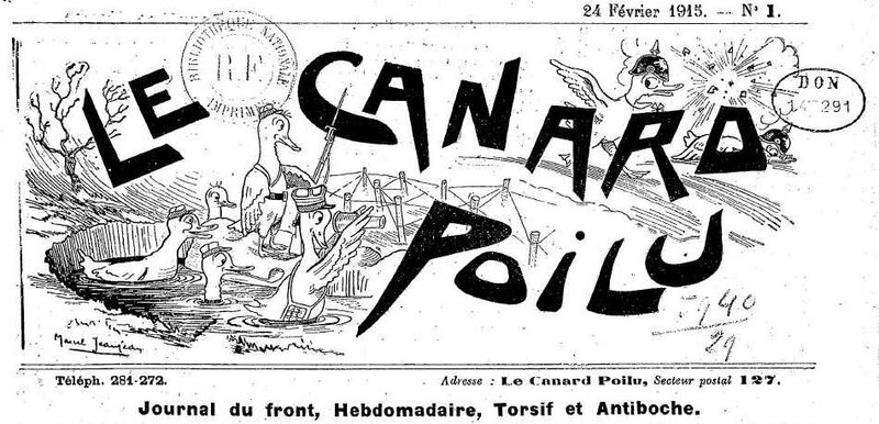 Canard_poilu