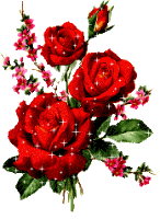 roses rouges animéé