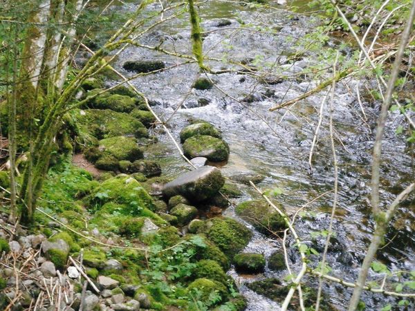 RUISSEAU-LAVOIR