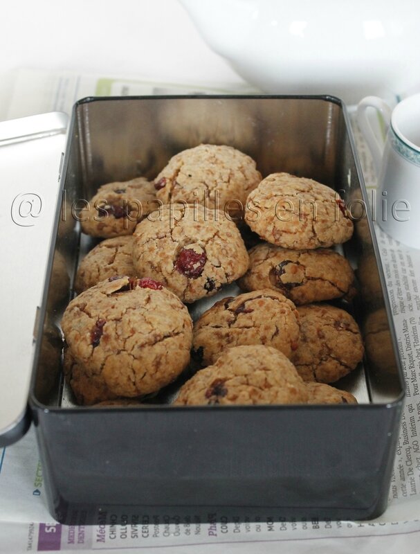 cookies-cranberries