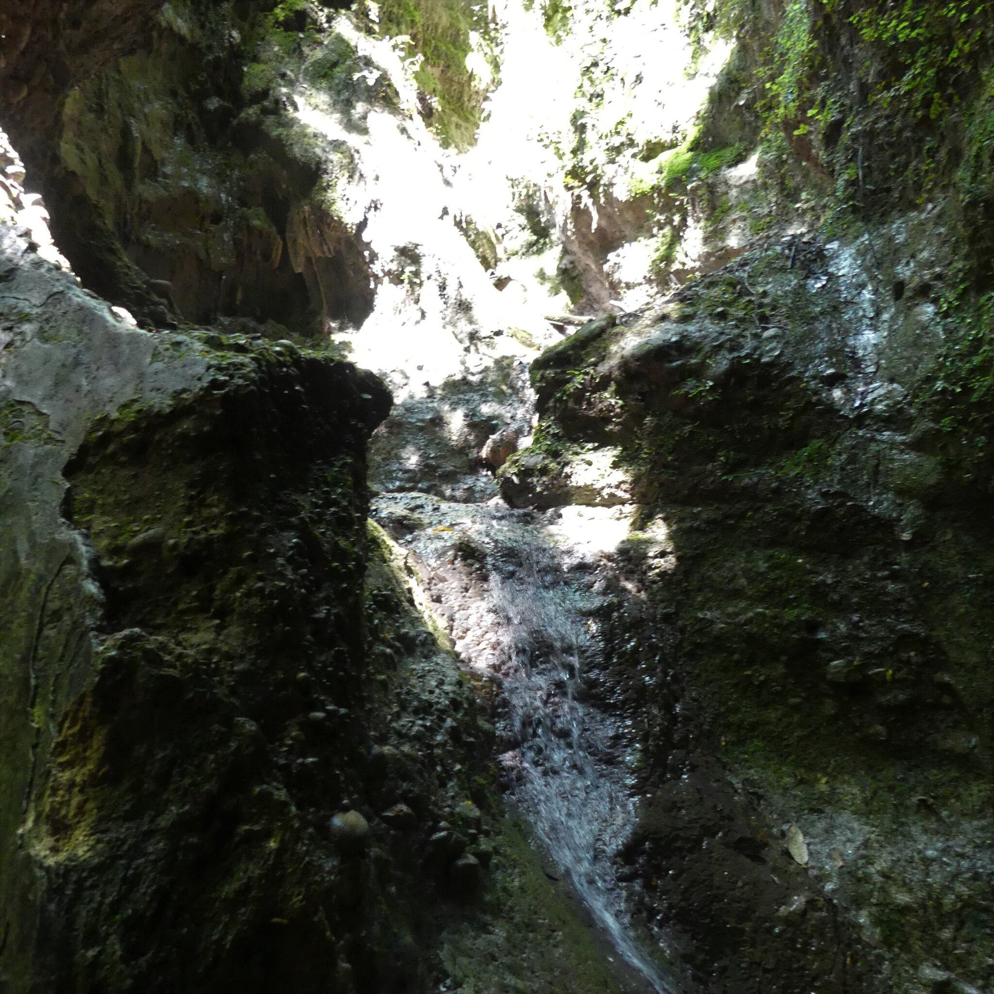 P1120737 (2)