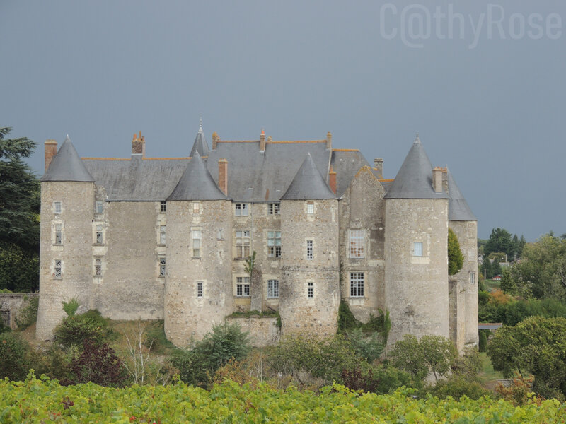 && Luynes château (4)