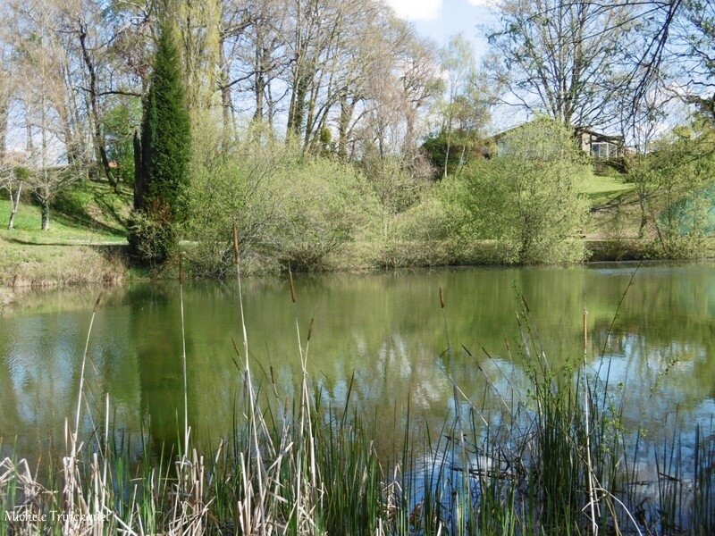 1-Etangs de la Marnière, de Vicq d'Auribat, de St Jean de Lier 280317