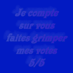votez_pour_moi