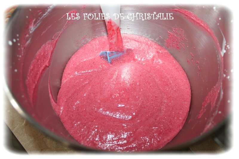 Bavarois choc framboises 21