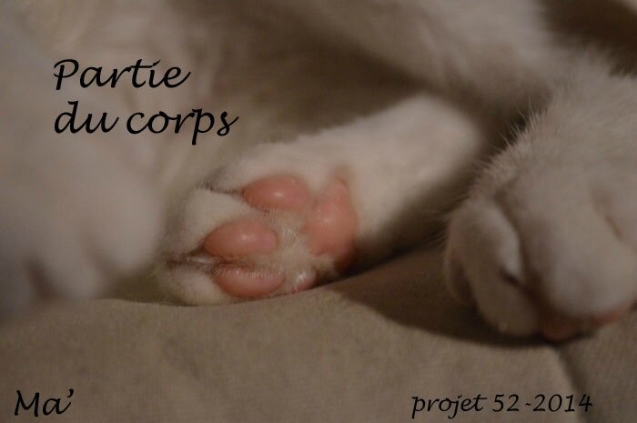 52-2014_S41_Partie_du_corps
