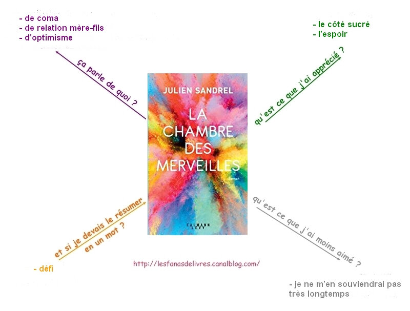 la chambre des merveilles