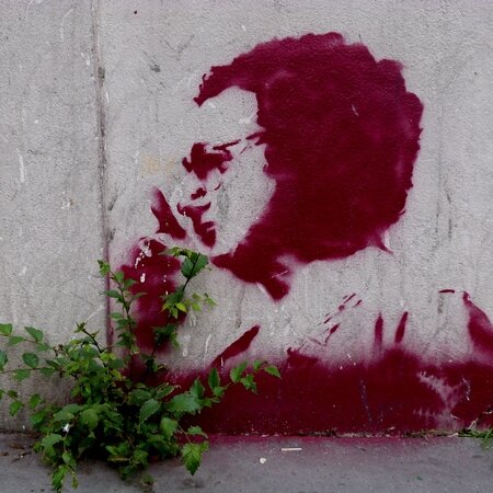 Coluche1