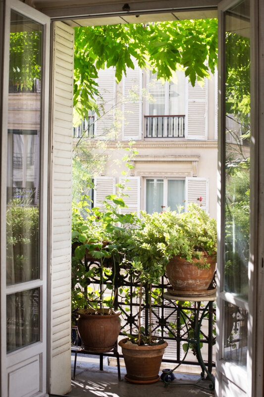 idée-décoration-terrasse-avec-plantes-pour-tranquilité-pots-brise-vue-naturel-balcon