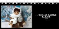 preview-_13_ (1)