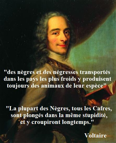 voltaire-raciste4