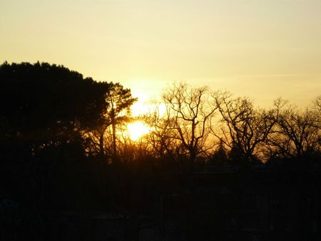 photo 014