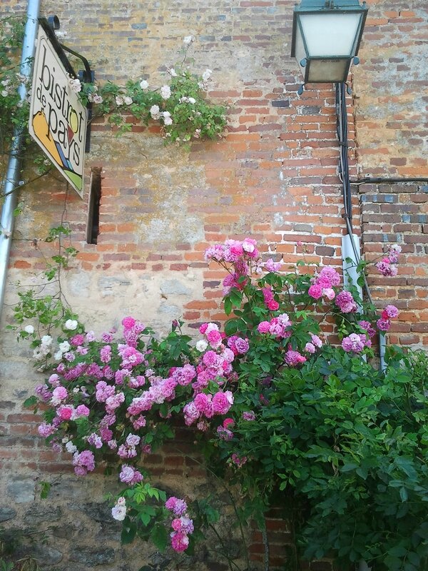 Photo0818
