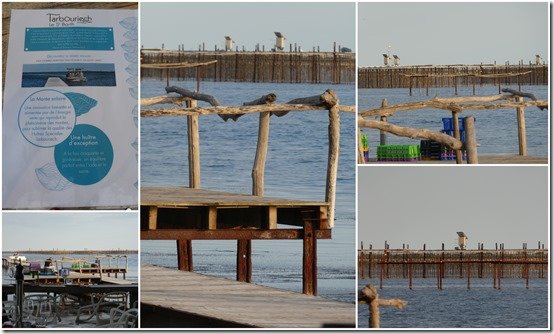 tarbouriech marseillan2