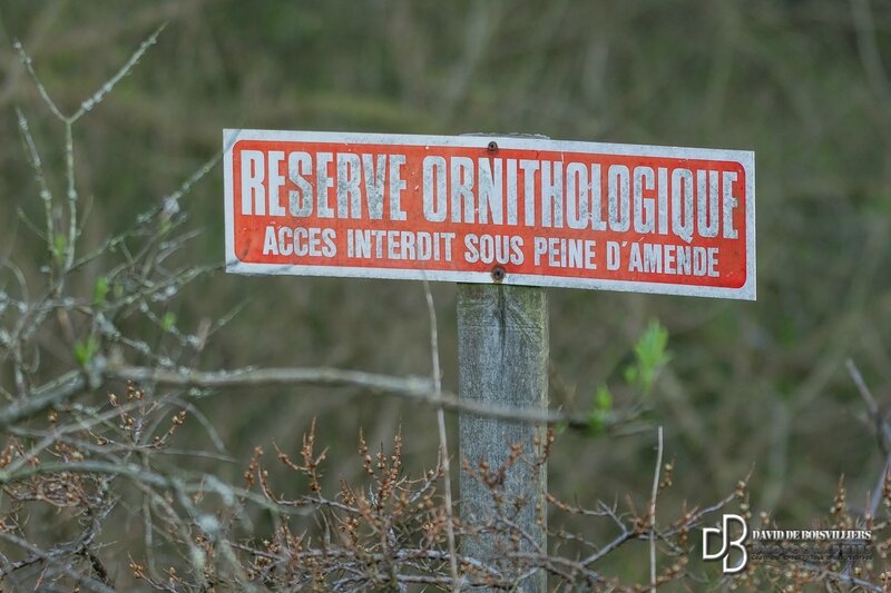 Parcours balisé