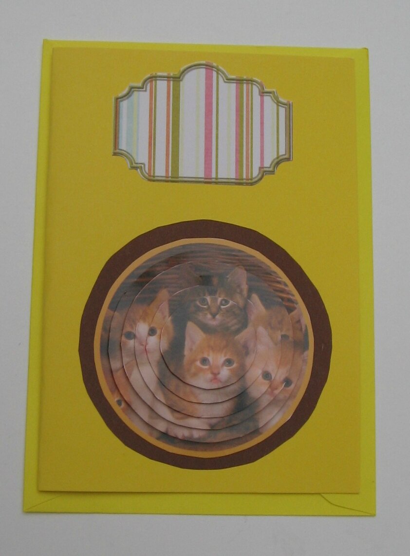 53