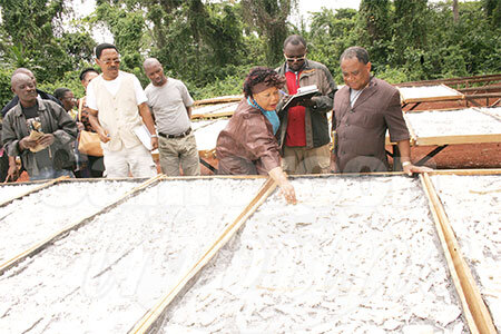 chaine_transformation_manioc