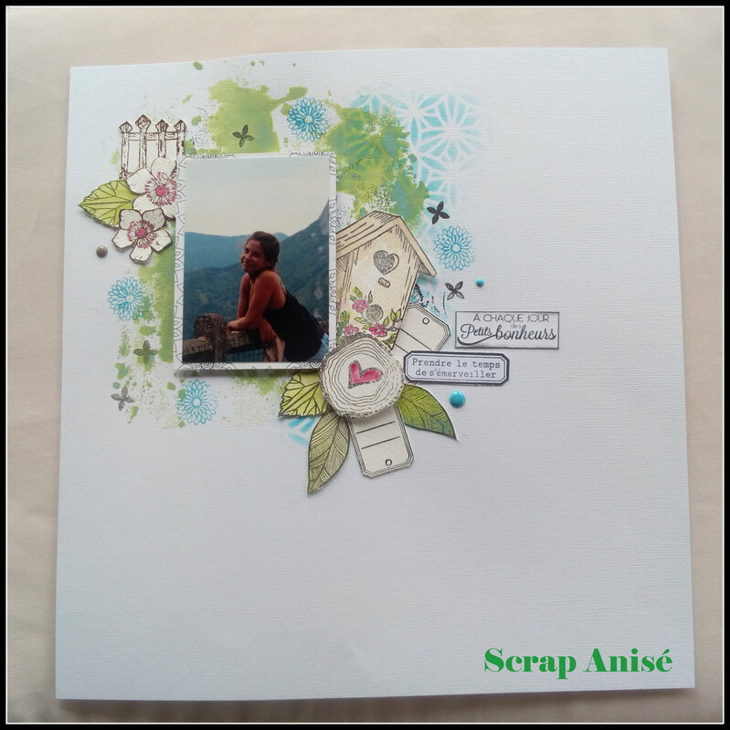 3 - Scrap Anisé