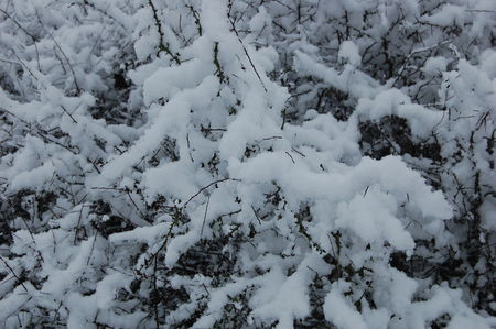neige_2008_031