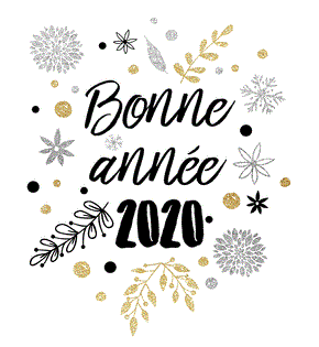 4849-Bonne anna e 2019 sur fond blanc_medium