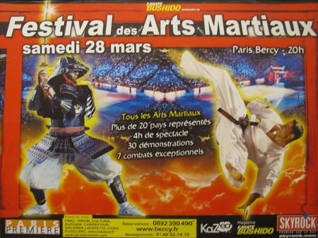 24e_Festival_des_arts_martiaux_
