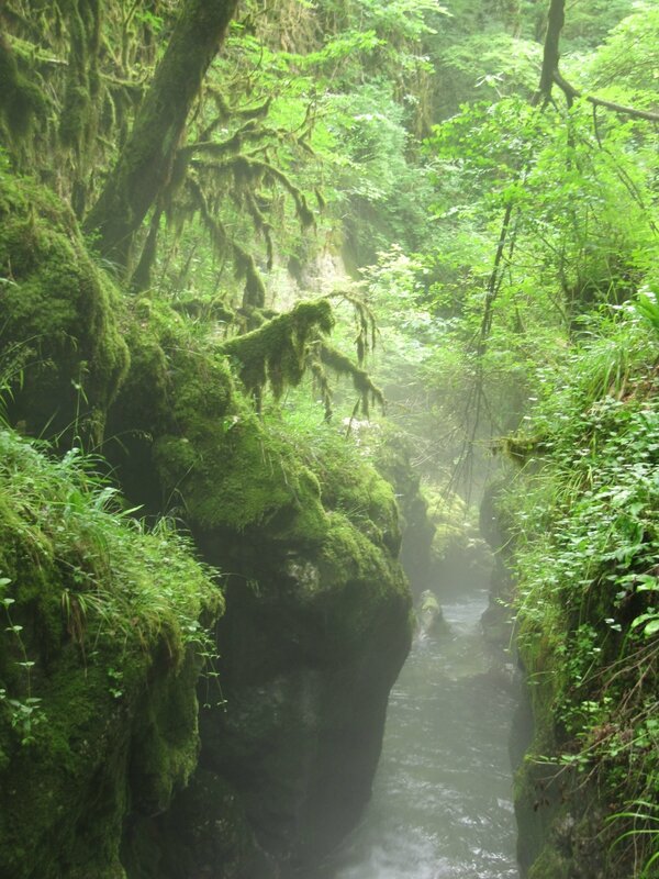 Gorges de l'Abîme - Brume