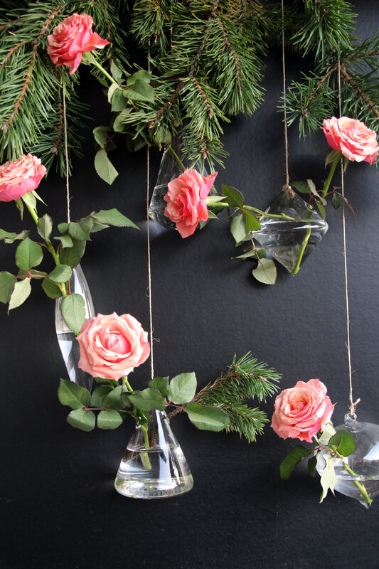 sapin_roses