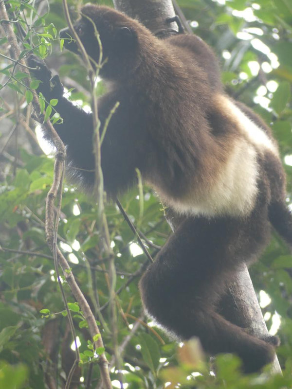 P1230490