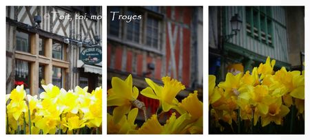 troyes-avril-2013-(1)
